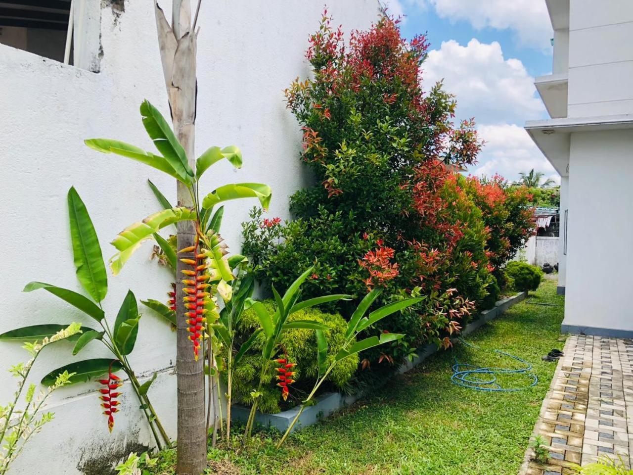 Vidushi Home Minuwangoda Екстер'єр фото