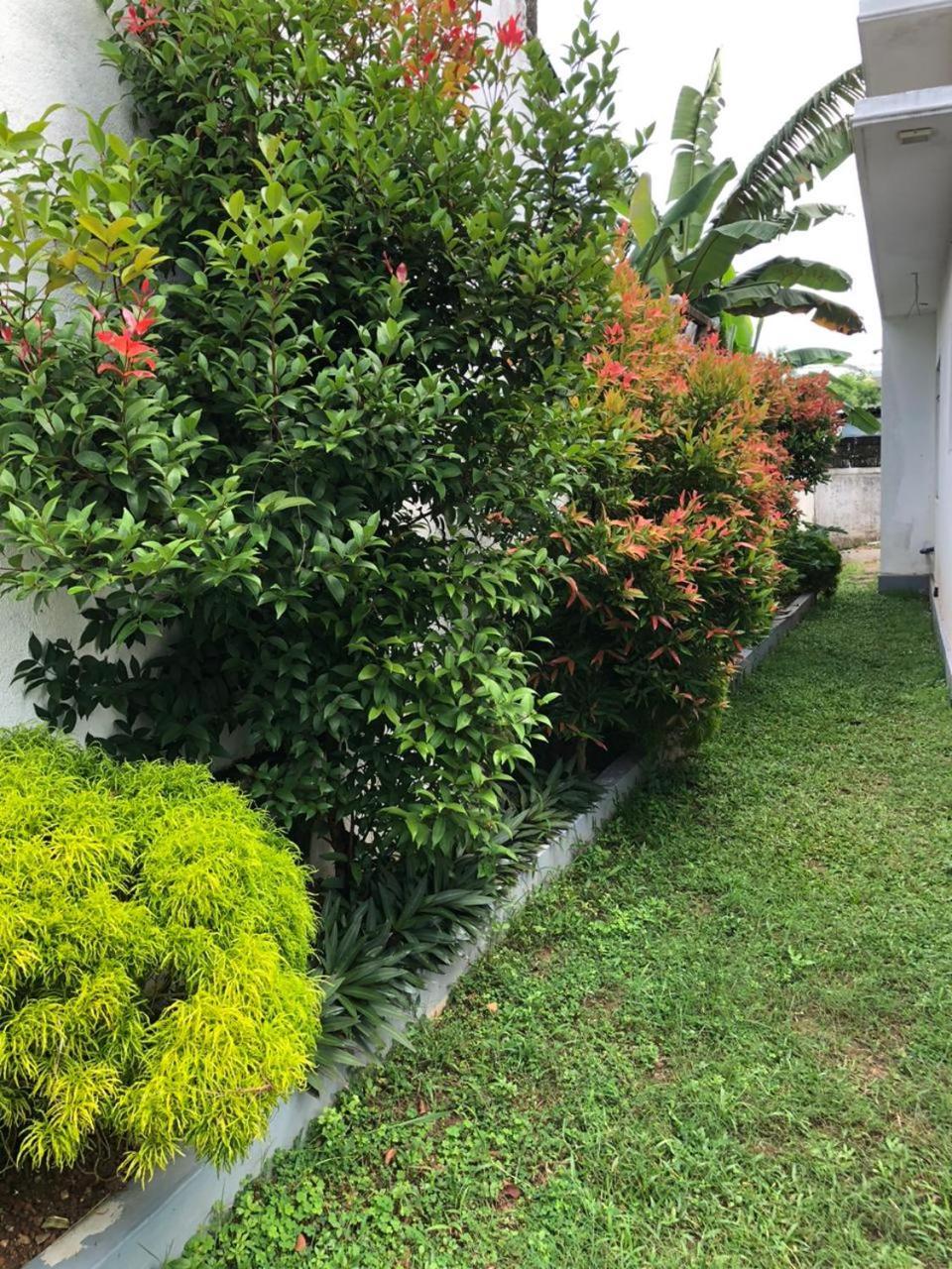 Vidushi Home Minuwangoda Екстер'єр фото
